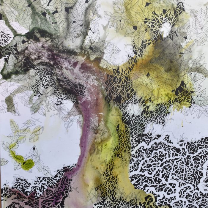 spiritus arboris